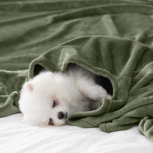 BEAUTEX Fleece Throw Blanket for Couch Sofa Bed Soft Fuzzy Plush