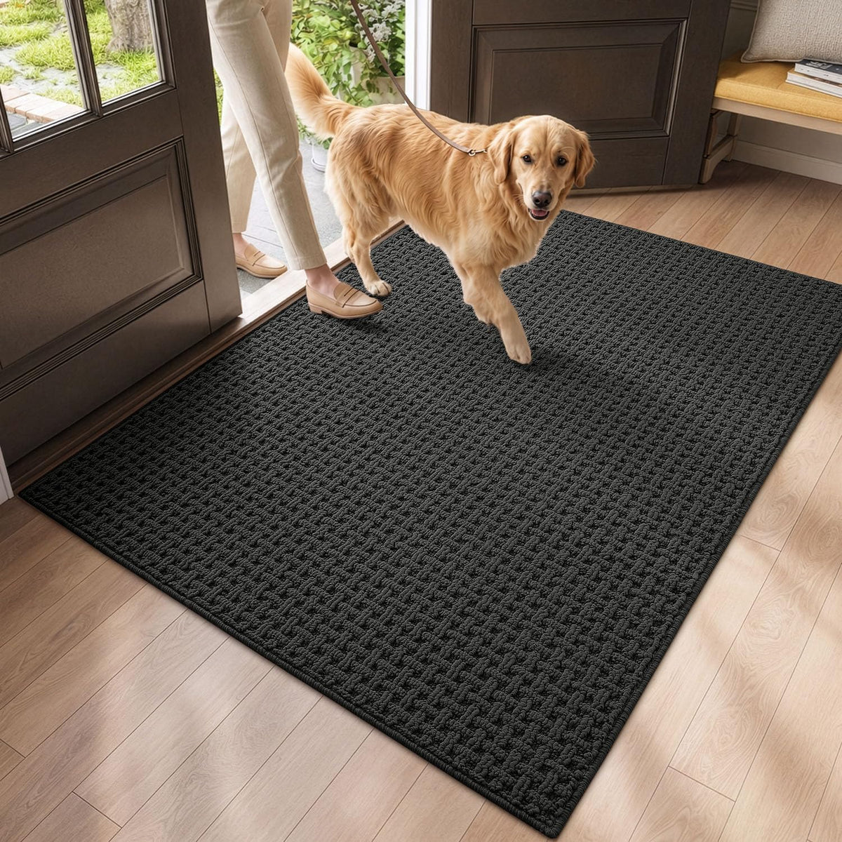 DEXI Door Mat Indoor Entrance 24x36, Entryway Doormats, Beige