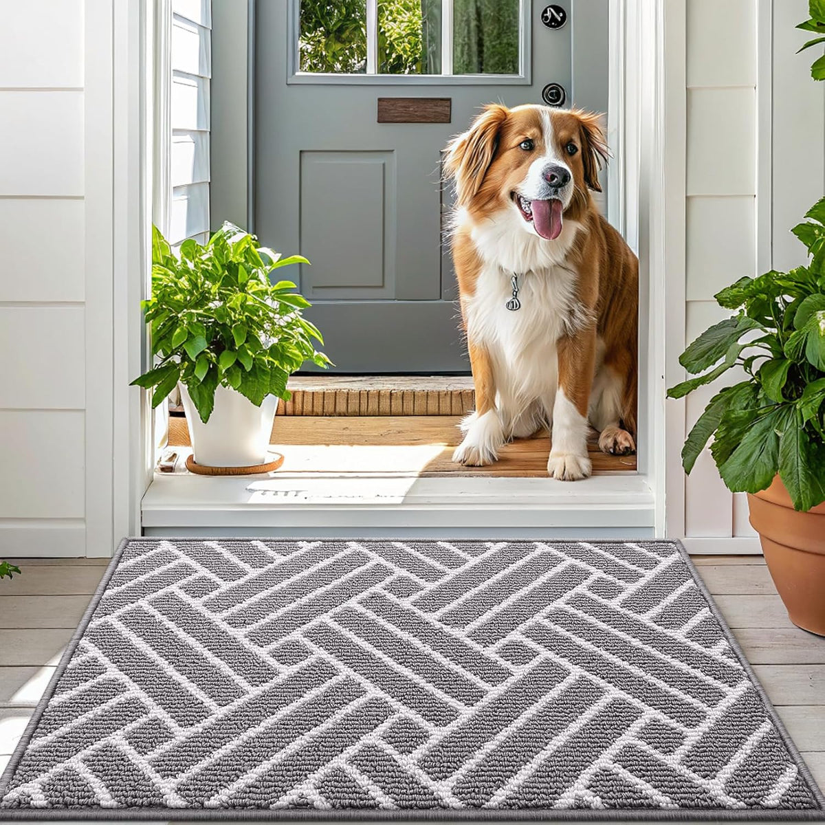 OLANLY Indoor Door Mat 32x20, Low-Profile Dirt Resistant Doormat, Grey