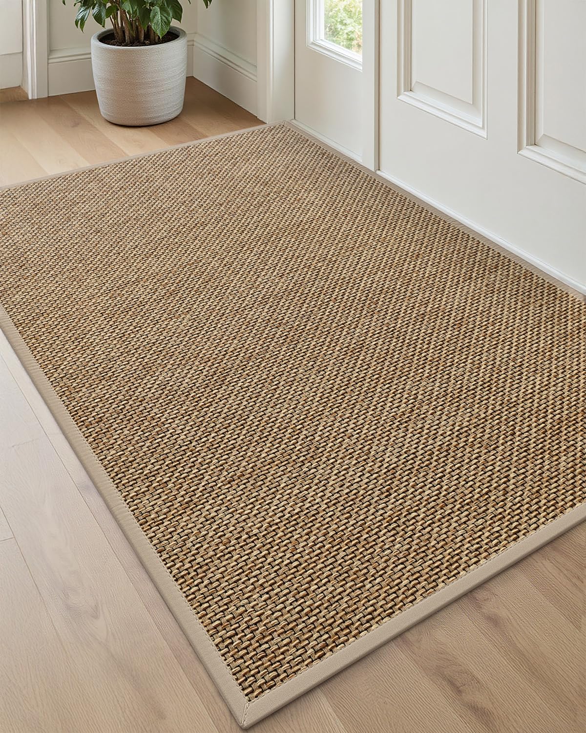 DEXI Ultra Thin Indoor Door Mat 24x36, Entrance Doormats, Beige