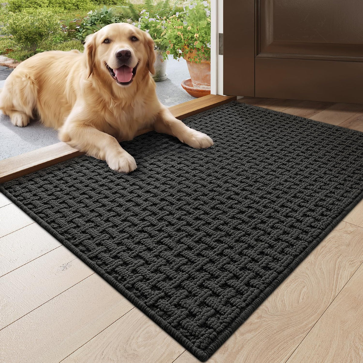 DEXI Door Mat Indoor Entrance 24x36, Entryway Doormats, Beige