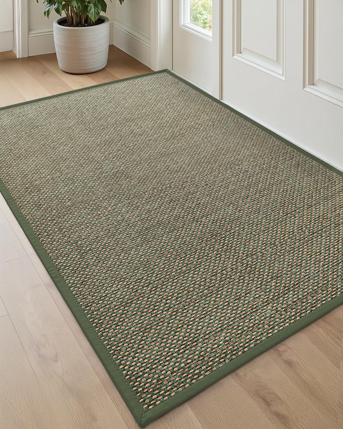 DEXI Ultra Thin Indoor Door Mat 24x36, Entrance Doormats, Beige