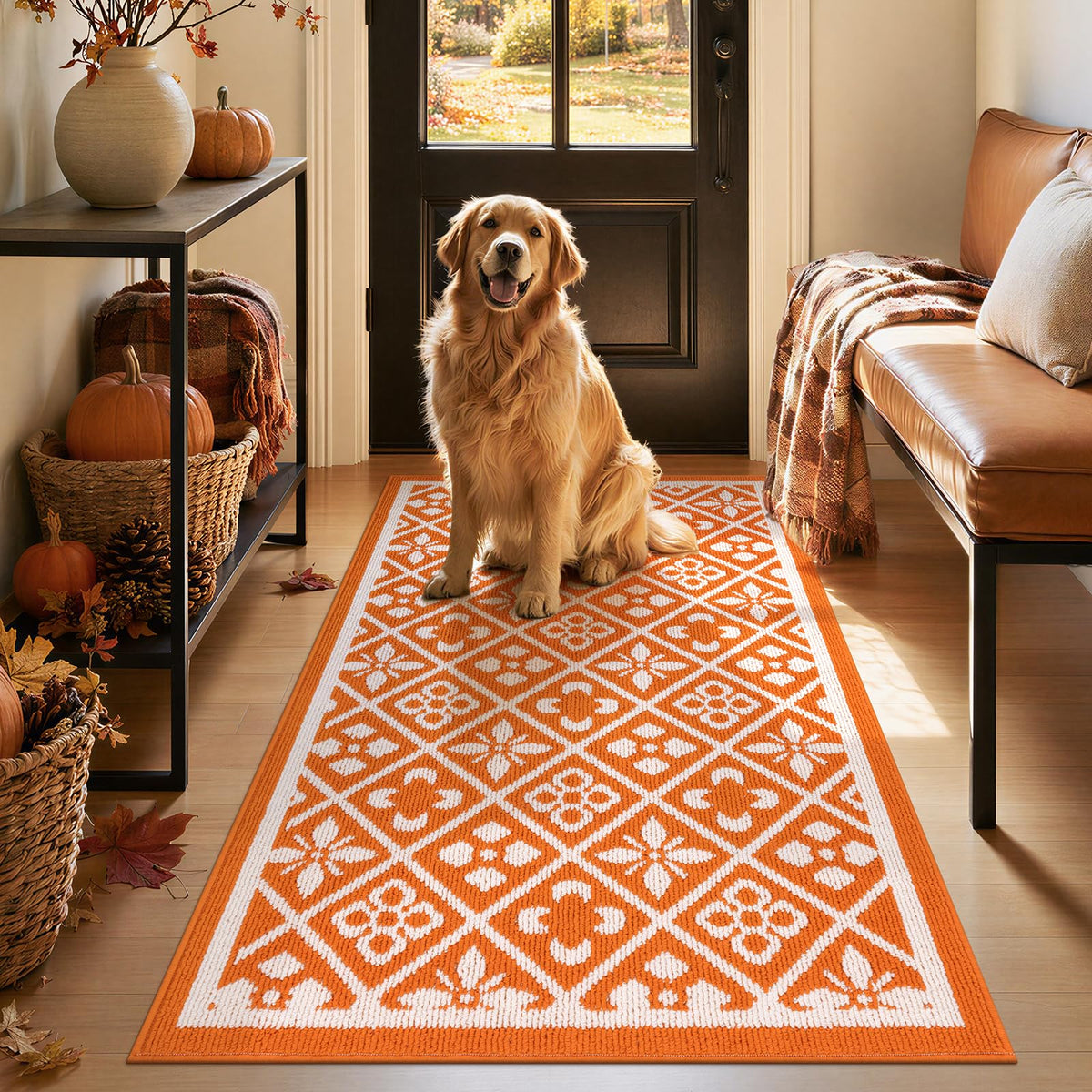 Ileading Fall Indoor Door Mat Washable Orange Muddy Rugs for Dogs 2x3ft