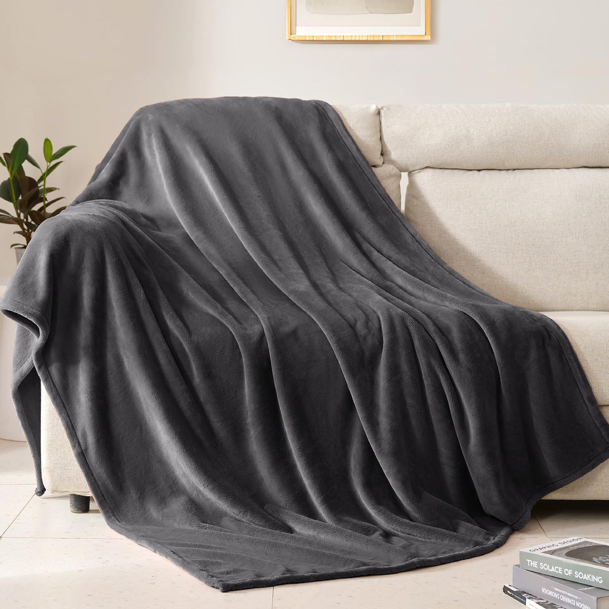 BEAUTEX Fleece Throw Blanket for Couch Sofa Bed Soft Fuzzy Plush