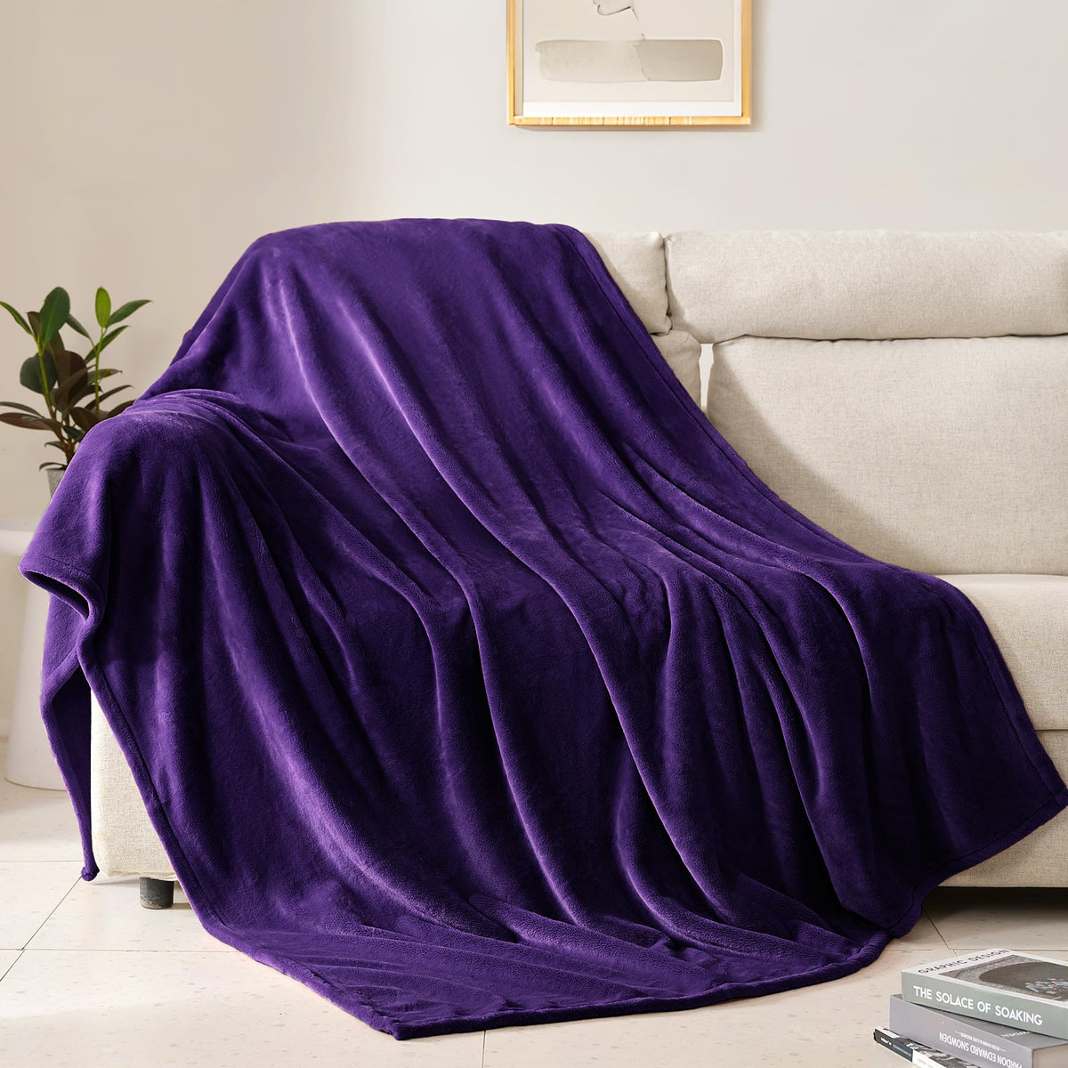 BEAUTEX Fleece Throw Blanket for Couch Sofa Bed Soft Fuzzy Plush