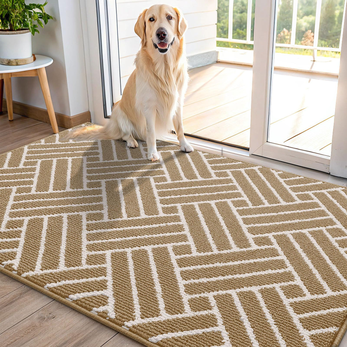 OLANLY Indoor Door Mat 32x20, Low-Profile Dirt Resistant Doormat, Grey