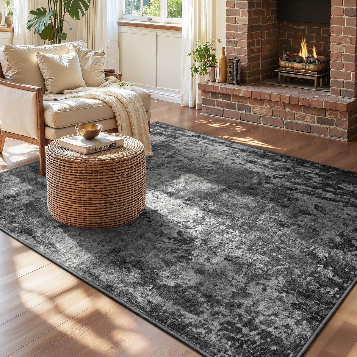Entrance Rugs Indoor 2x3 Grey Entry Rug Washable Abstract Small Area Rug Non-Slip Low Pile Throw Rugs for Entryway, Kitchen Floor, Front Door Indoor Door Mat, Bathroom, Bedroom Bedside
