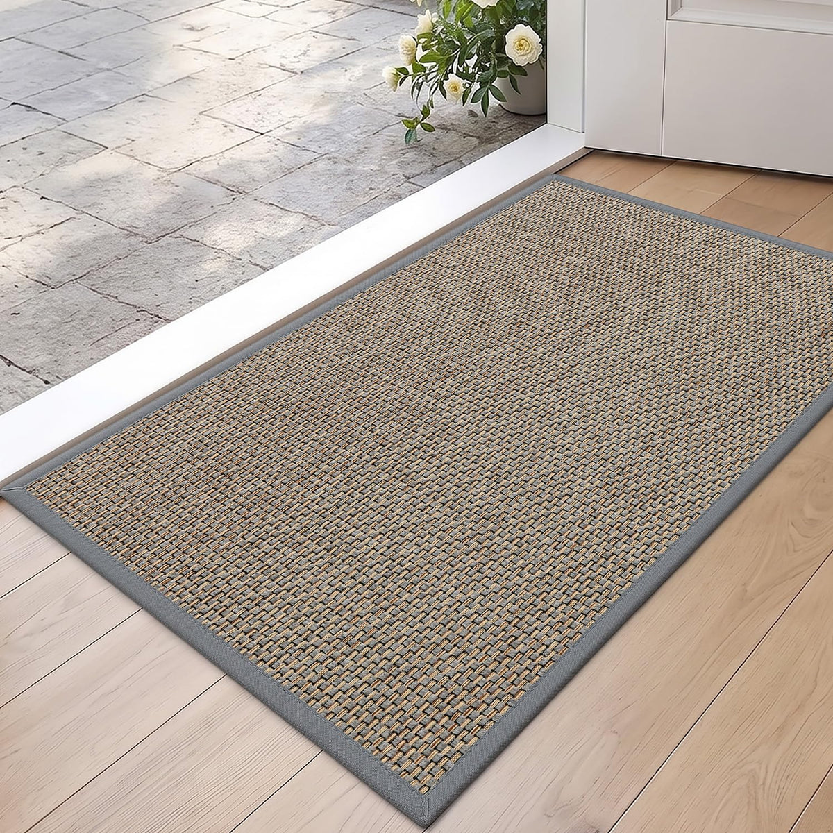 DEXI Ultra Thin Indoor Door Mat 24x36, Entrance Doormats, Beige