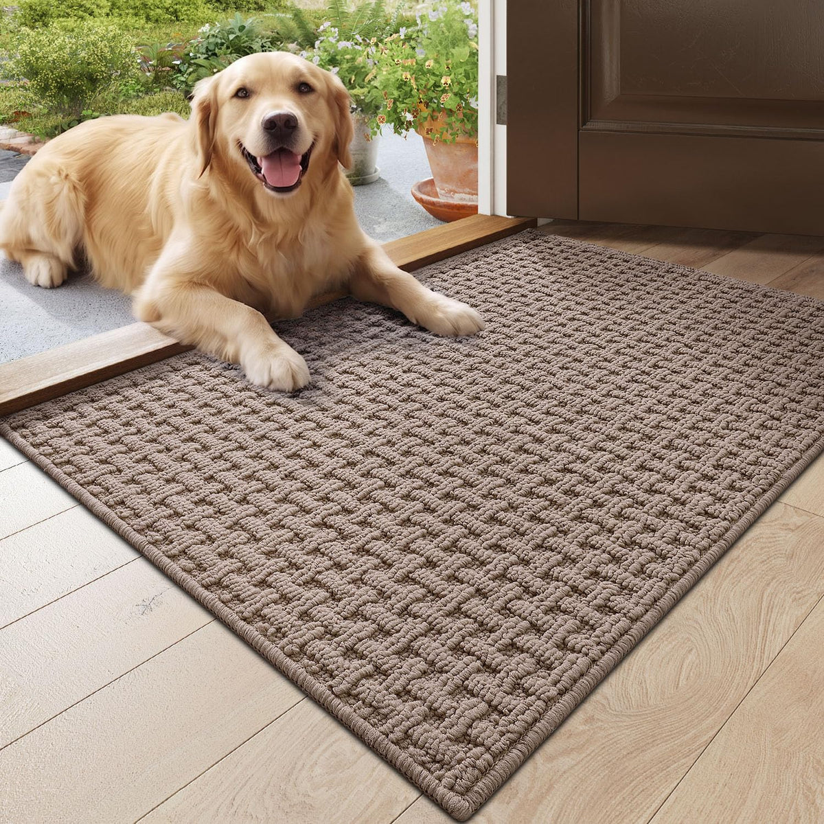 DEXI Door Mat Indoor Entrance 24x36, Entryway Doormats, Beige
