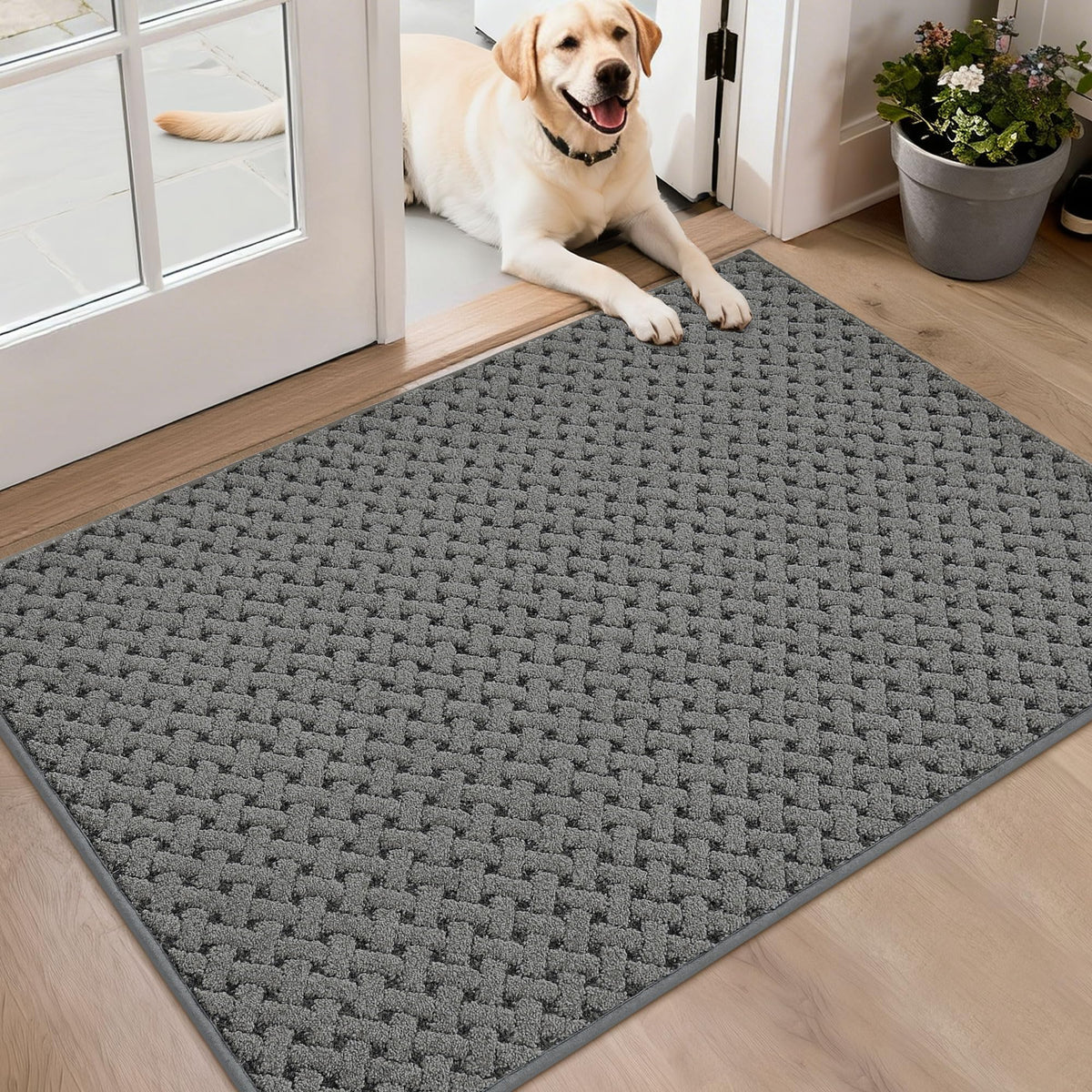 BEQHAUSE Dirt Trapper Door Mat Non-Slip Entryway Rugs, 24" x 36", Beige