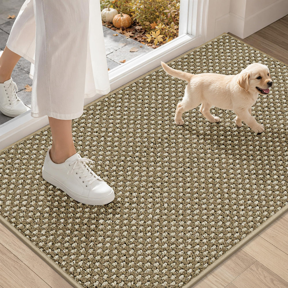 COSY HOMEER Door Mat Non-Slip Entryway Rugs Dirt Trapper, 17"x30", Beige
