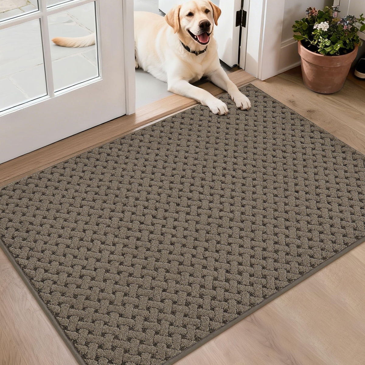 BEQHAUSE Dirt Trapper Door Mat Non-Slip Entryway Rugs, 24" x 36", Beige