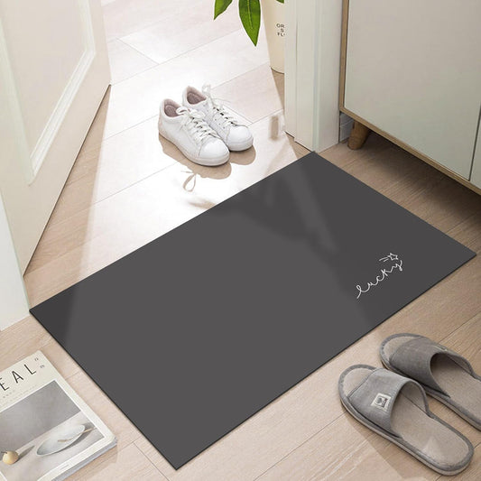 Ultra Thin Indoor Door Mat, 1/10 in Thin Door Mats for Inside Entry