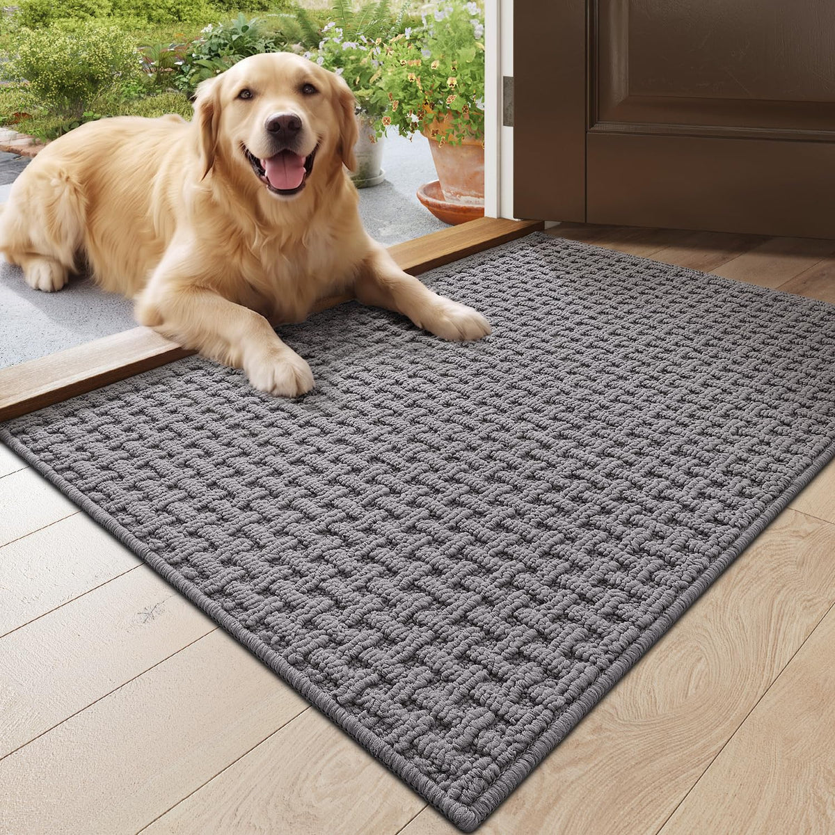 DEXI Door Mat Indoor Entrance 24x36, Entryway Doormats, Beige