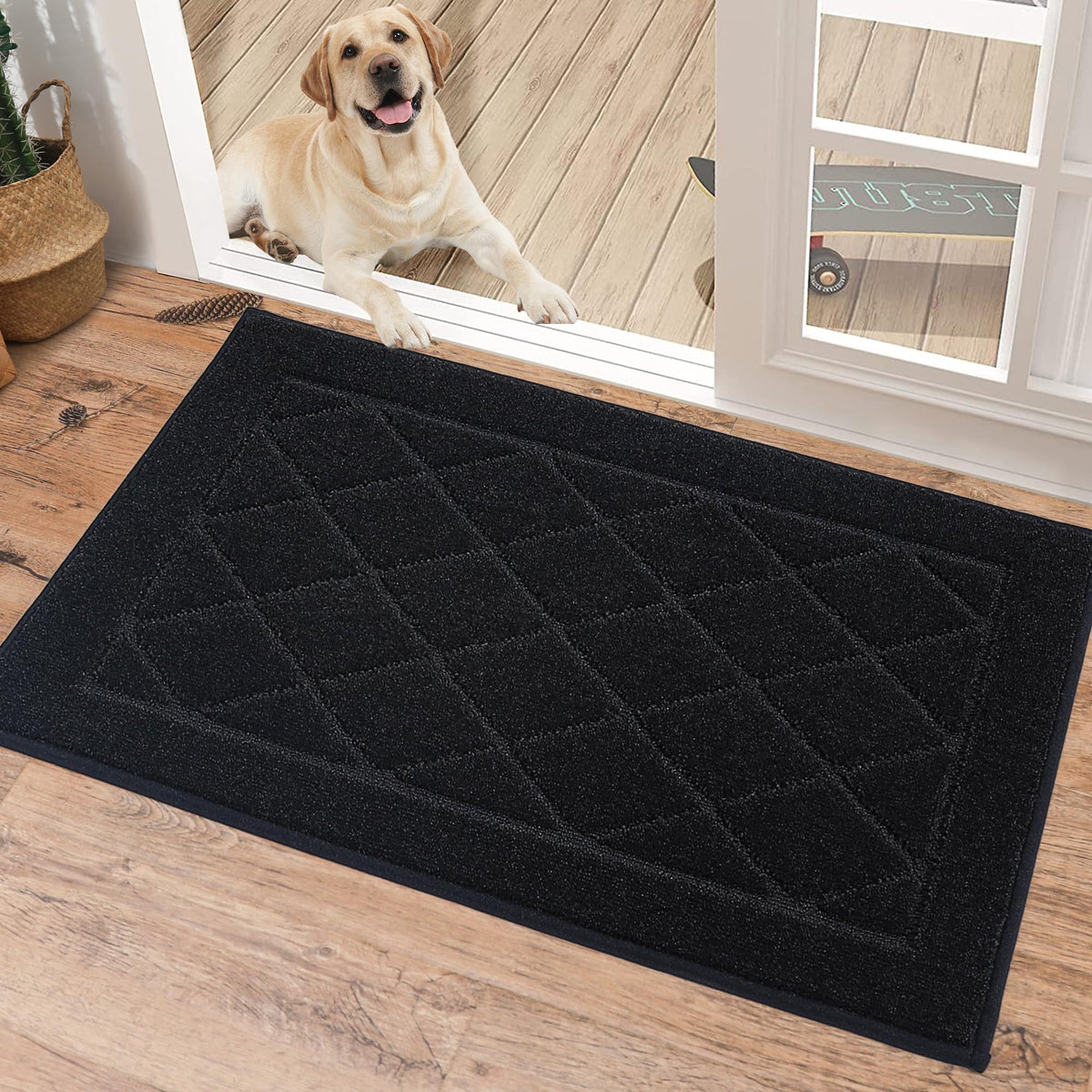 BEQHAUSE Dirt Trapper Door Mat 32" x 48", Doormat Non-Slip, Dark Grey
