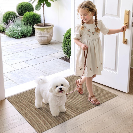 DEXI Thin Door Mat Indoor Entrance 24x36, Non Slip Entryway Mat, Dark Beige