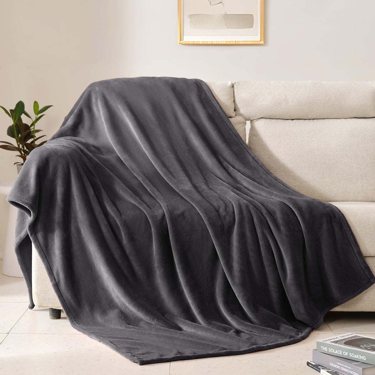 BEAUTEX Fleece Throw Blanket for Couch Sofa Bed Soft Fuzzy Plush