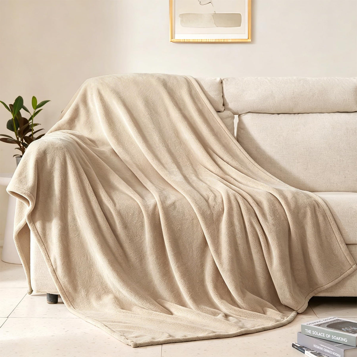 BEAUTEX Fleece Throw Blanket for Couch Sofa Bed Soft Fuzzy Plush