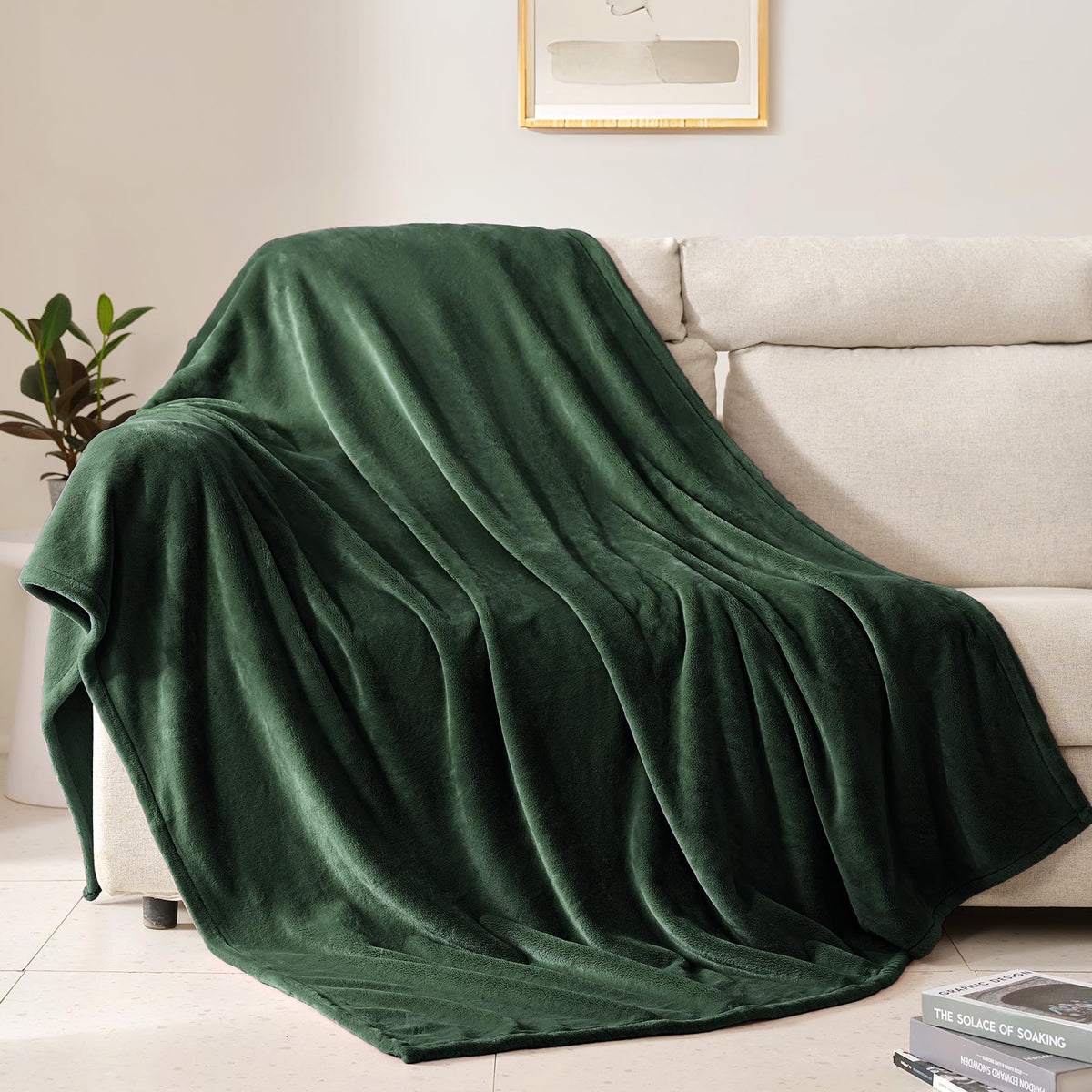 BEAUTEX Fleece Throw Blanket for Couch Sofa Bed Soft Fuzzy Plush