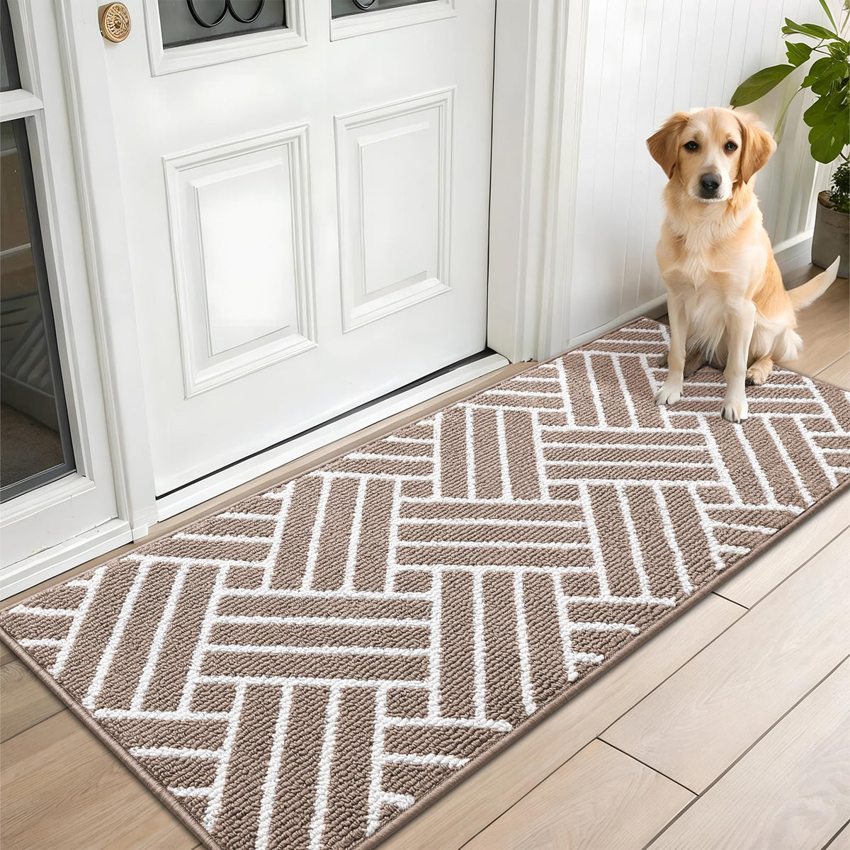 OLANLY Indoor Door Mat 32x20, Low-Profile Dirt Resistant Doormat, Grey