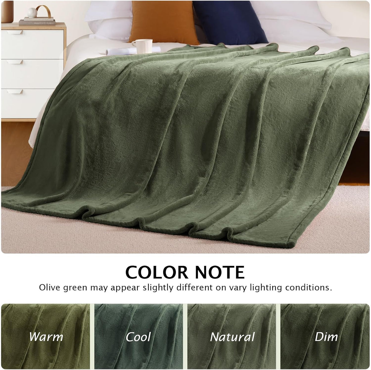 BEAUTEX Fleece Throw Blanket for Couch Sofa Bed Soft Fuzzy Plush