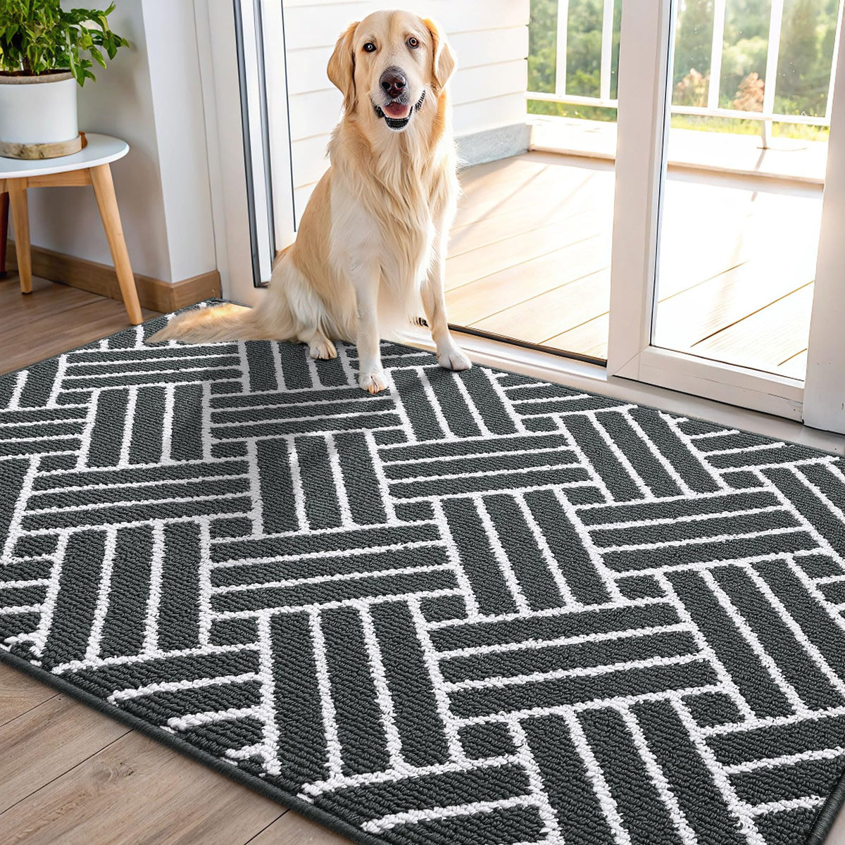 OLANLY Indoor Door Mat 32x20, Low-Profile Dirt Resistant Doormat, Grey