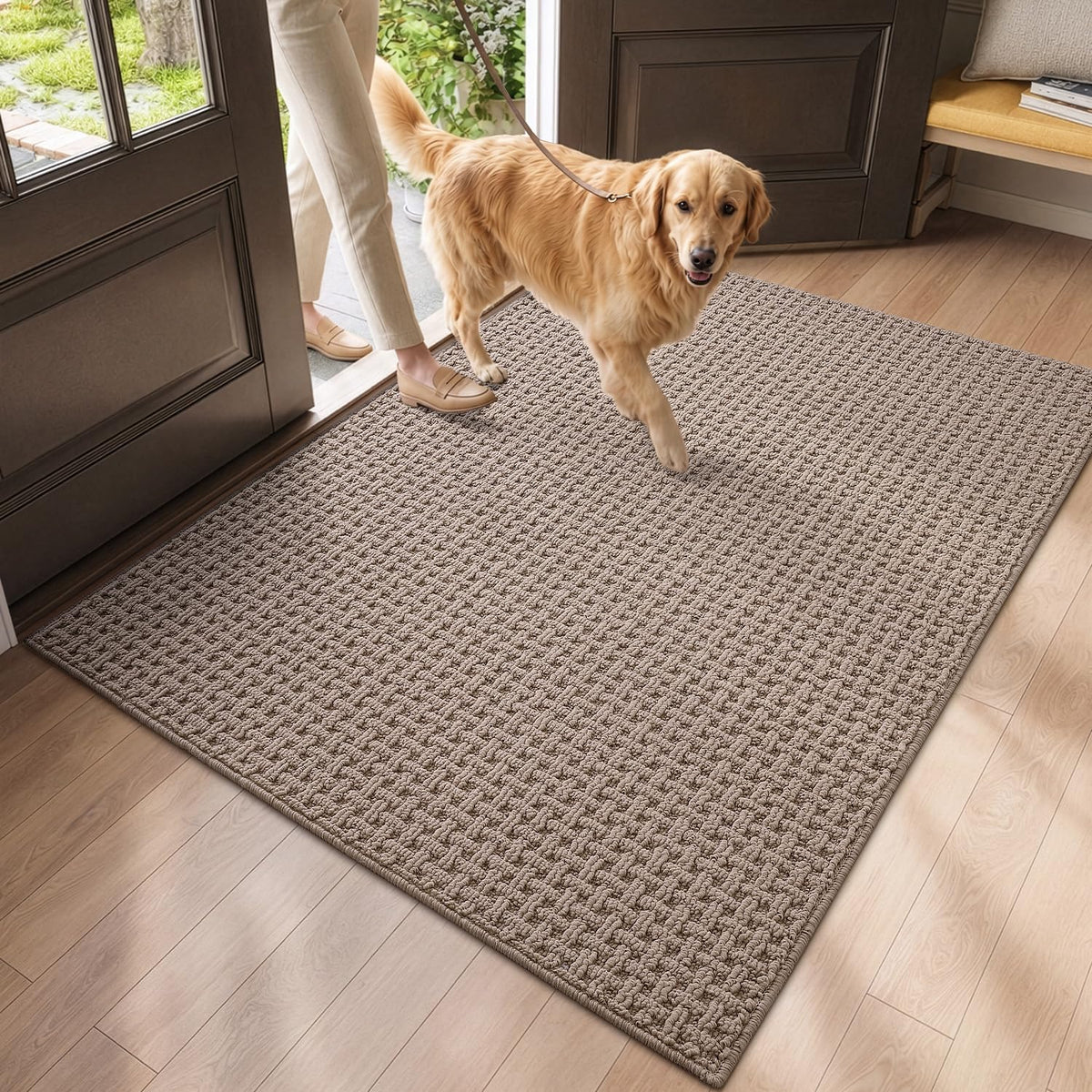 DEXI Door Mat Indoor Entrance 24x36, Entryway Doormats, Beige