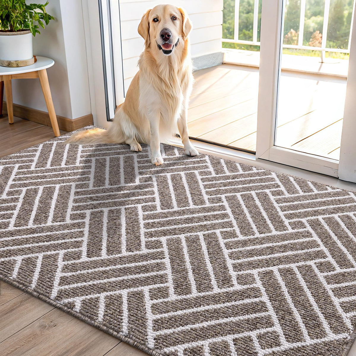 OLANLY Indoor Door Mat 32x20, Low-Profile Dirt Resistant Doormat, Grey