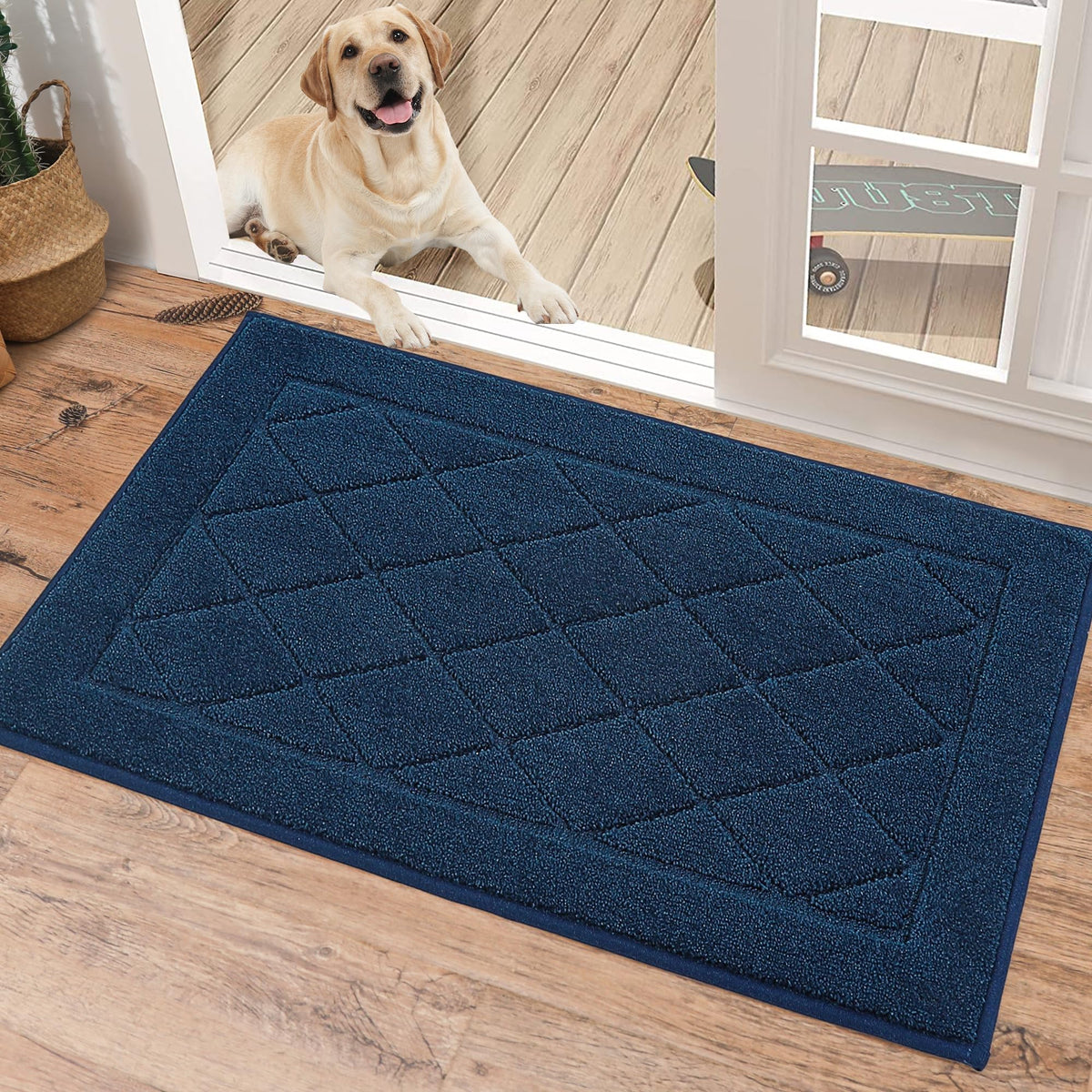 BEQHAUSE Dirt Trapper Door Mat 32" x 48", Doormat Non-Slip, Dark Grey