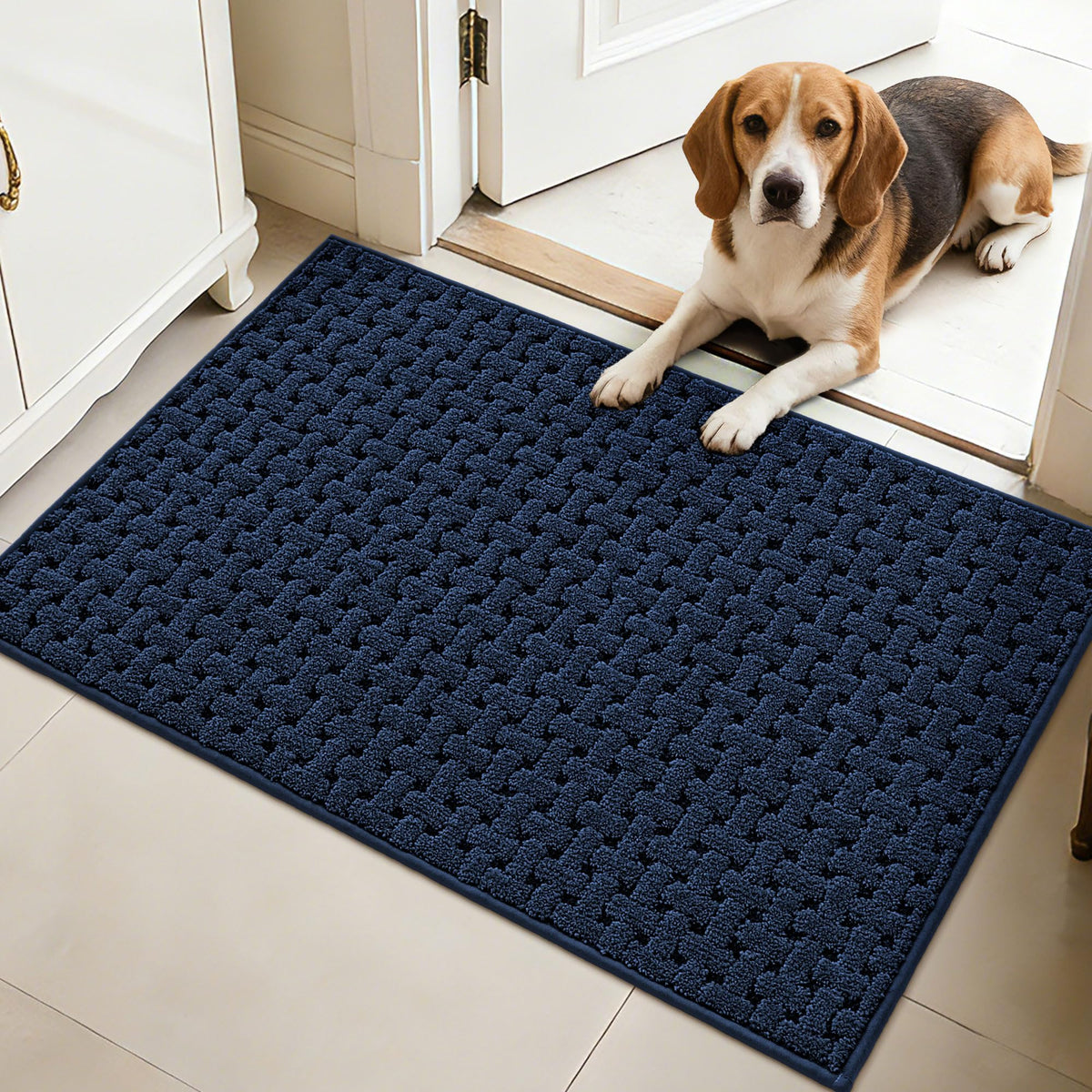 Door Mat Indoor Entrance 36"x60", Non-Slip Entryway Rugs, Blue