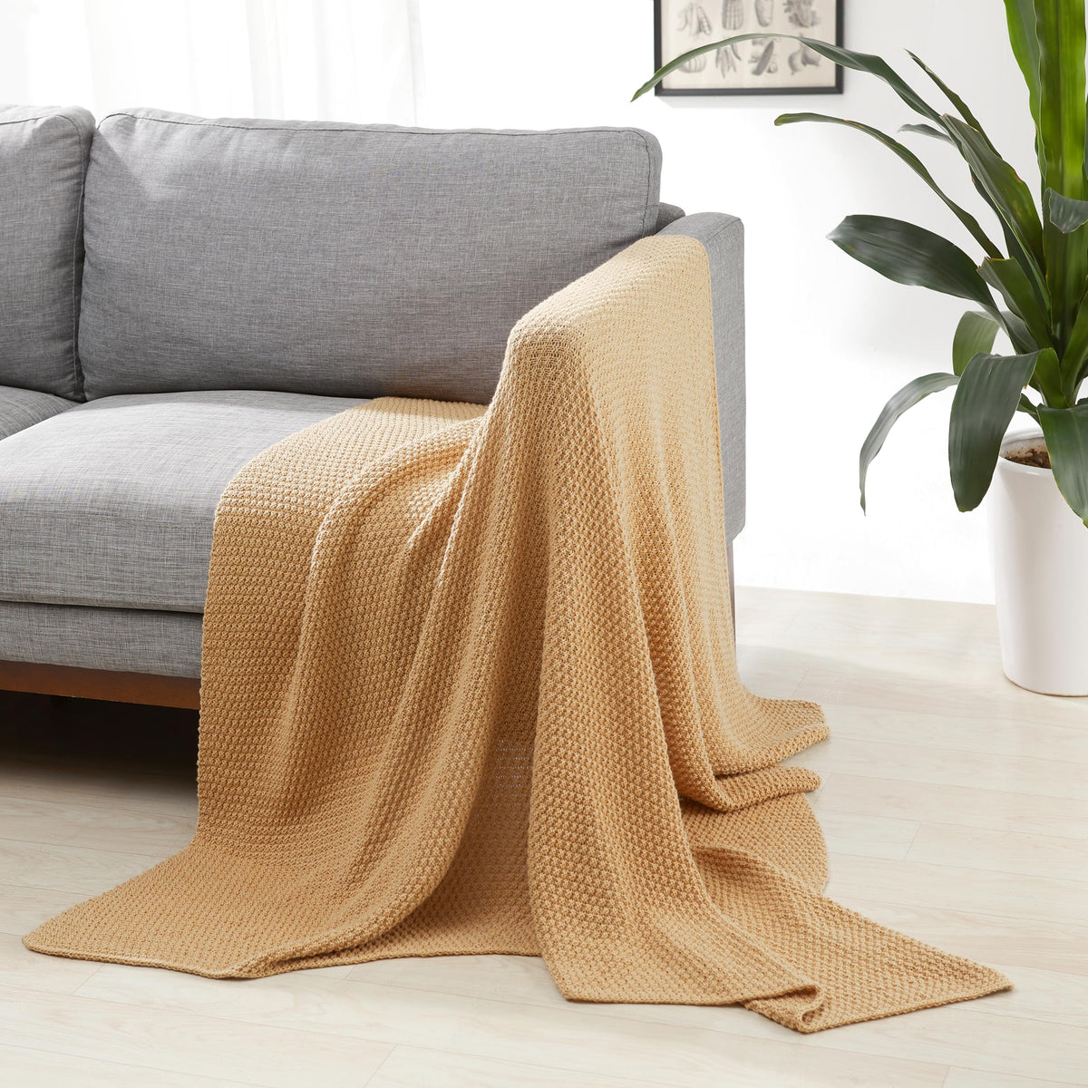 Amazon Basics Chunky Cable Knit Throw Blanket for Couch, Sofa, Bed, Lightweight Soft Cozy, 50" x 60", Sage Green