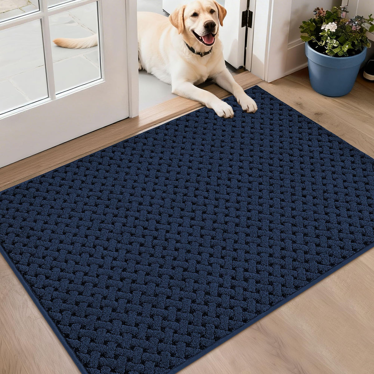 BEQHAUSE Dirt Trapper Door Mat Non-Slip Entryway Rugs, 24" x 36", Beige