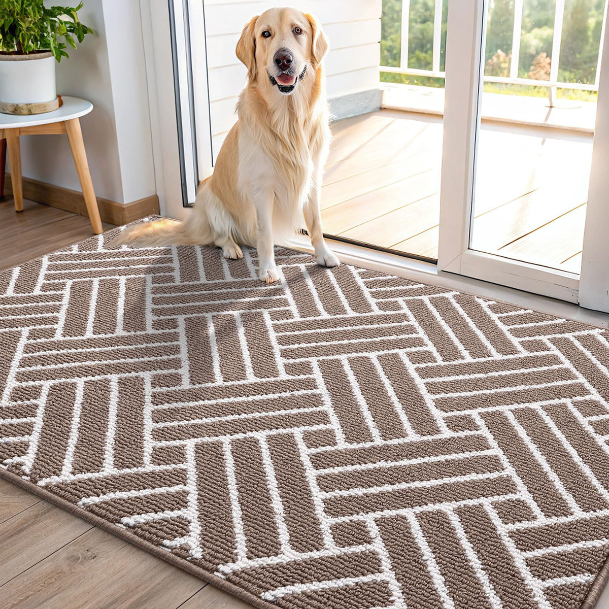 OLANLY Indoor Door Mat 32x20, Low-Profile Dirt Resistant Doormat, Grey