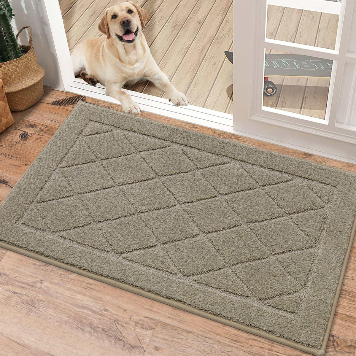 BEQHAUSE Dirt Trapper Door Mat 32" x 48", Doormat Non-Slip, Dark Grey