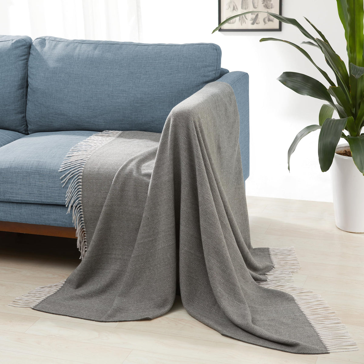 Amazon Basics Chunky Cable Knit Throw Blanket for Couch, Sofa, Bed, Lightweight Soft Cozy, 50" x 60", Sage Green