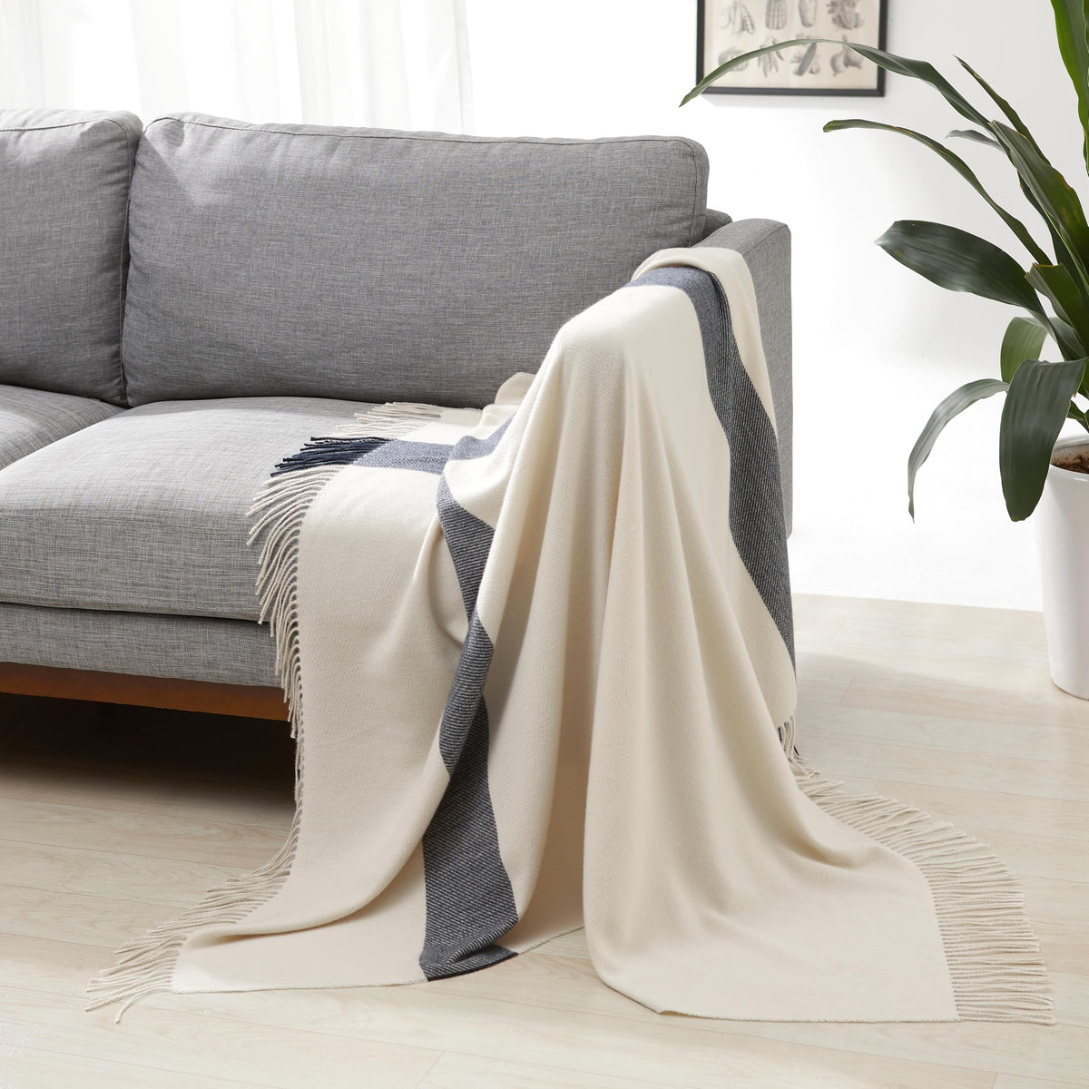 Amazon Basics Chunky Cable Knit Throw Blanket for Couch, Sofa, Bed, Lightweight Soft Cozy, 50" x 60", Sage Green