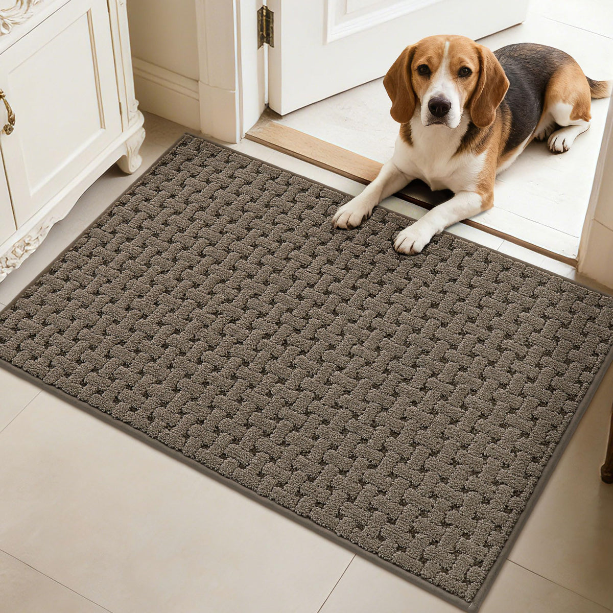 Door Mat Indoor Entrance 36"x60", Non-Slip Entryway Rugs, Blue
