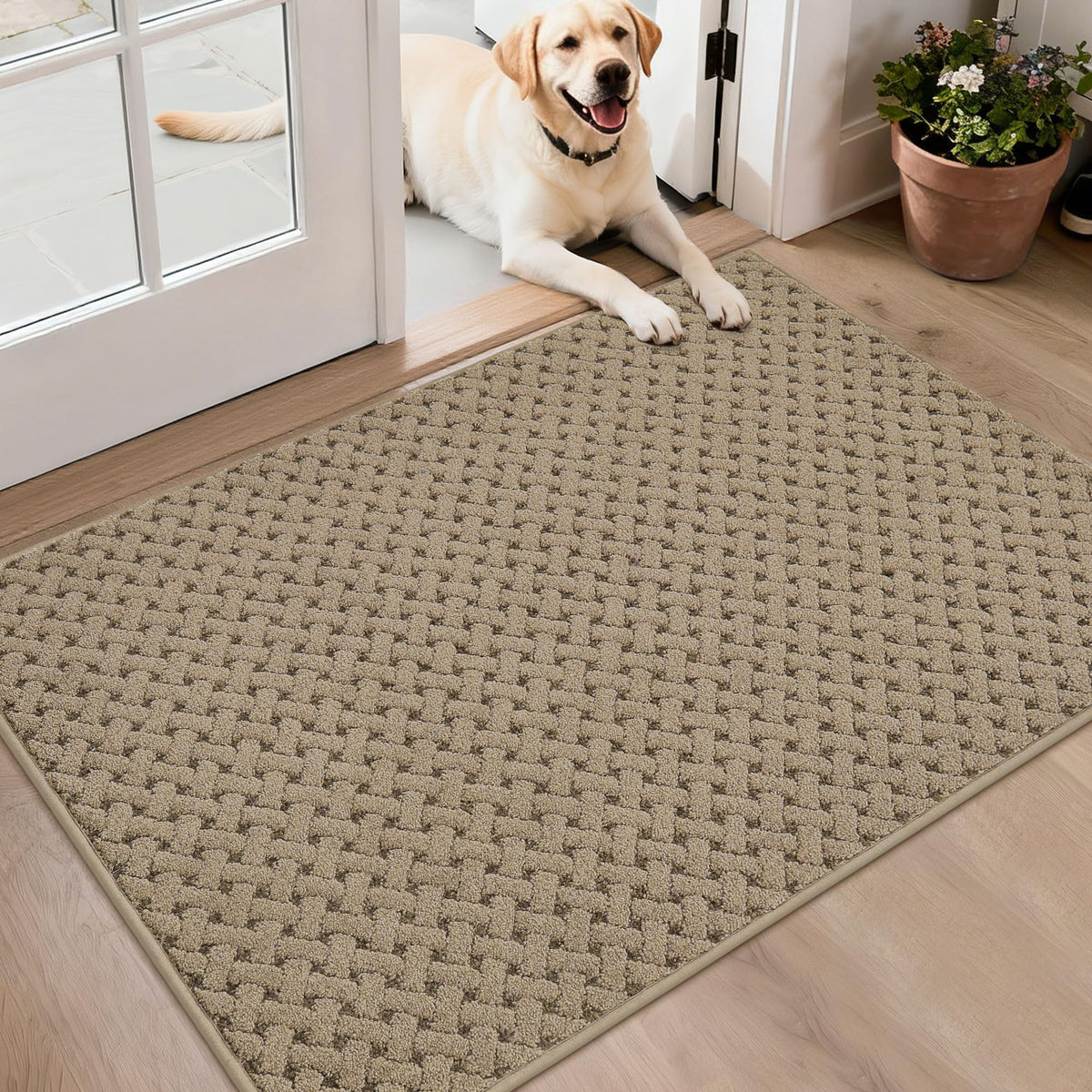 BEQHAUSE Dirt Trapper Door Mat Non-Slip Entryway Rugs, 24" x 36", Beige