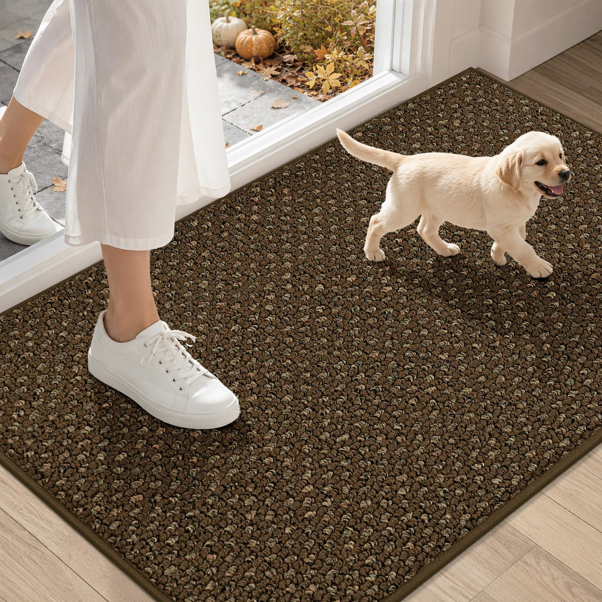 COSY HOMEER Door Mat Non-Slip Entryway Rugs Dirt Trapper, 17"x30", Beige
