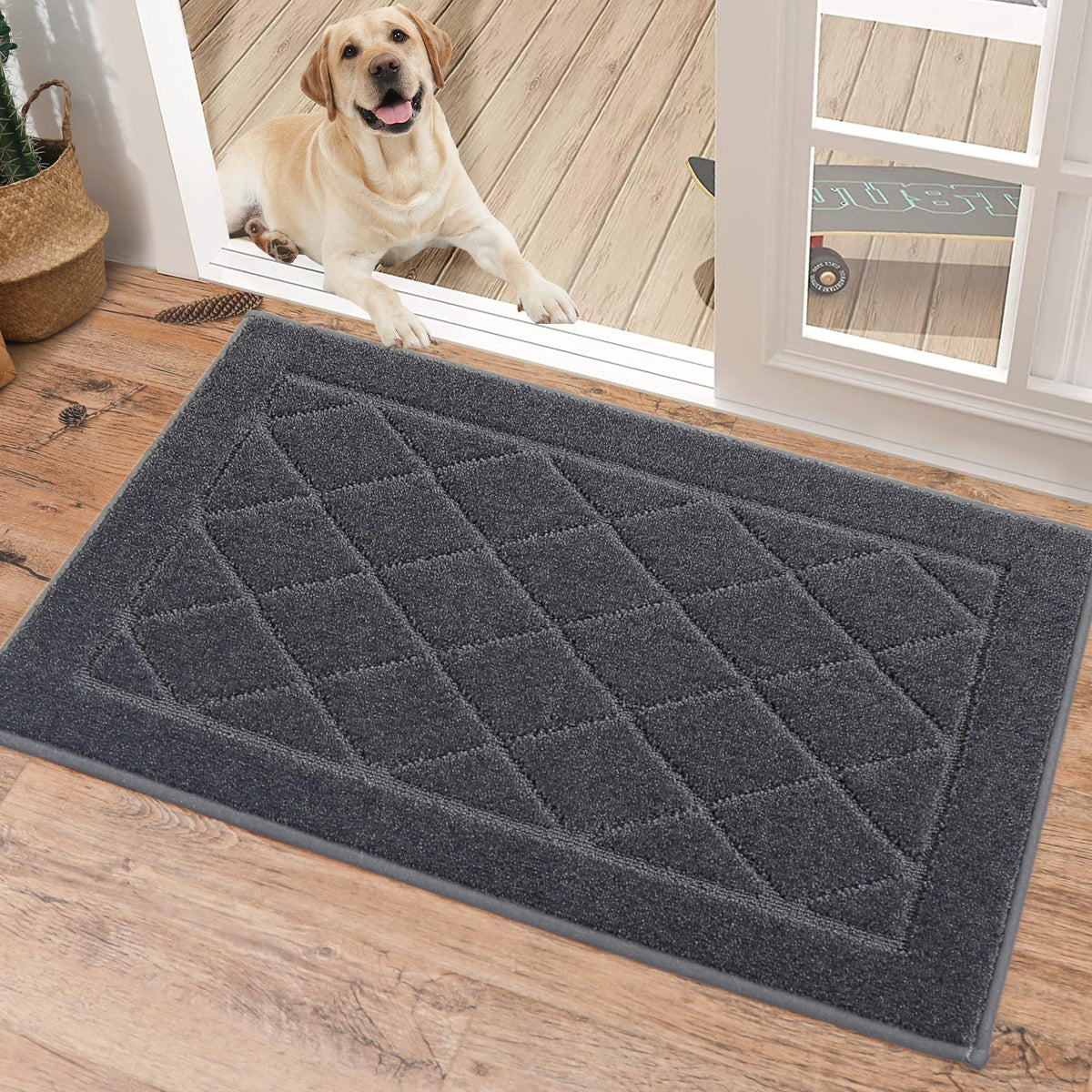 BEQHAUSE Dirt Trapper Door Mat 32" x 48", Doormat Non-Slip, Dark Grey