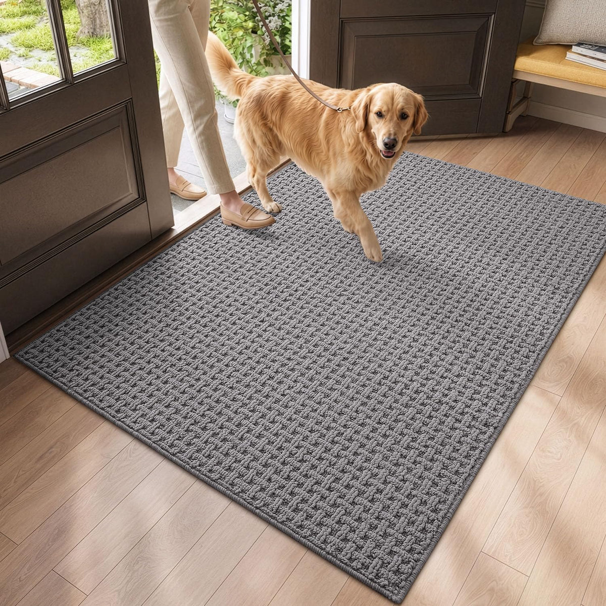 DEXI Door Mat Indoor Entrance 24x36, Entryway Doormats, Beige