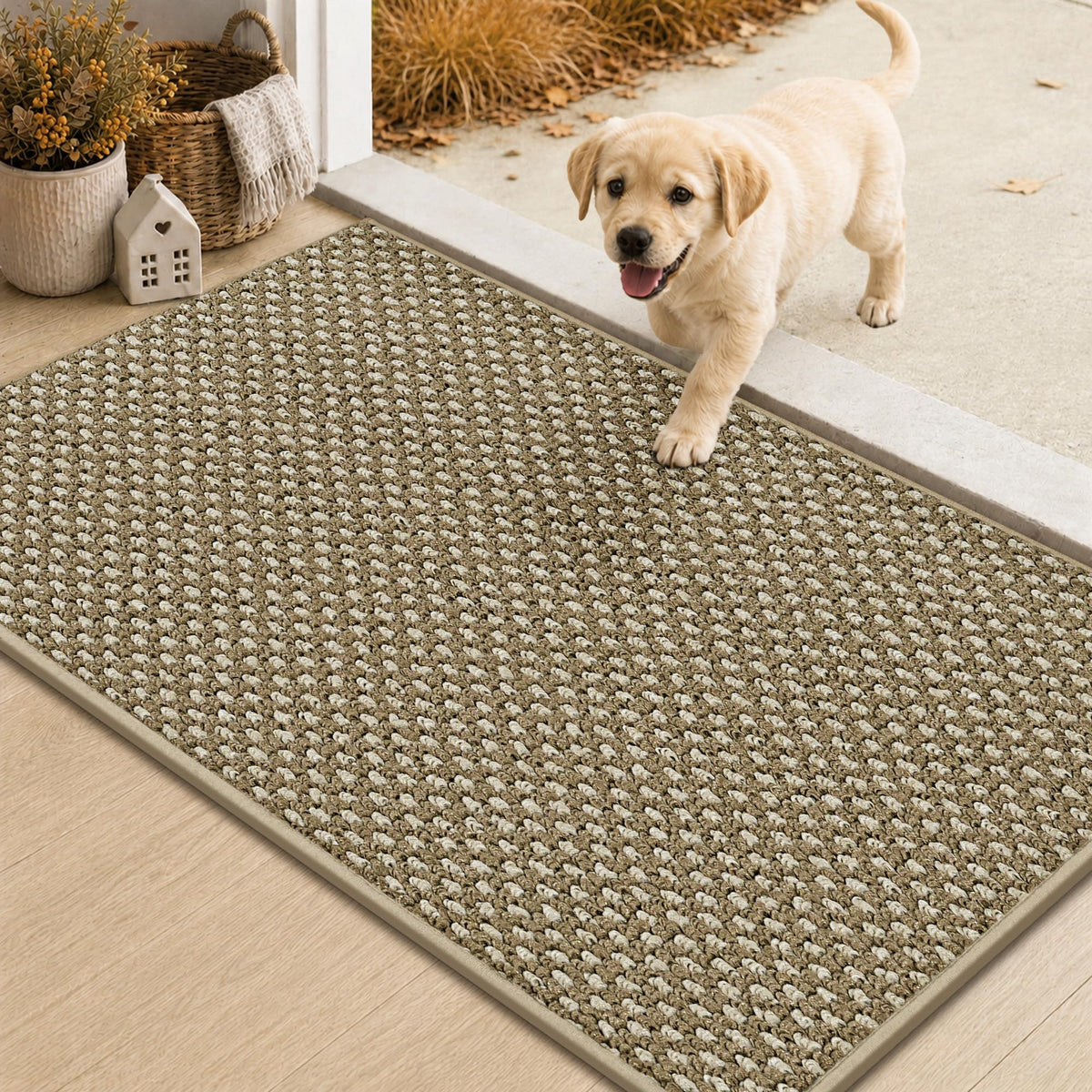 COSY HOMEER Door Mat Non-Slip Entryway Rugs Dirt Trapper, 17"x30", Beige
