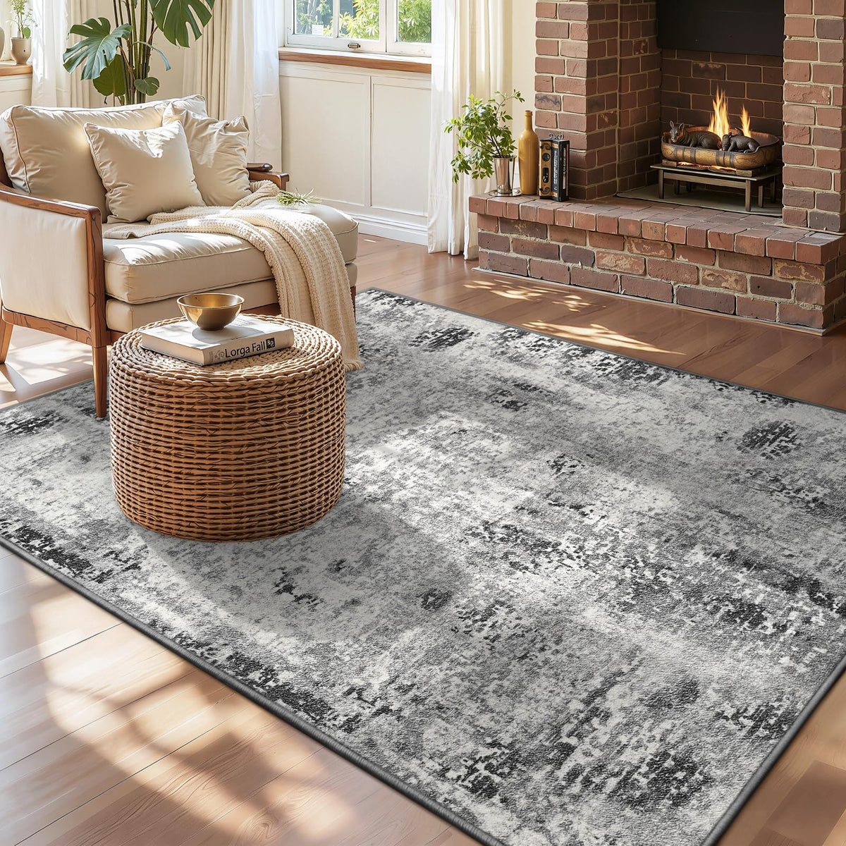 Entrance Rugs Indoor 2x3 Grey Entry Rug Washable Abstract Small Area Rug Non-Slip Low Pile Throw Rugs for Entryway, Kitchen Floor, Front Door Indoor Door Mat, Bathroom, Bedroom Bedside