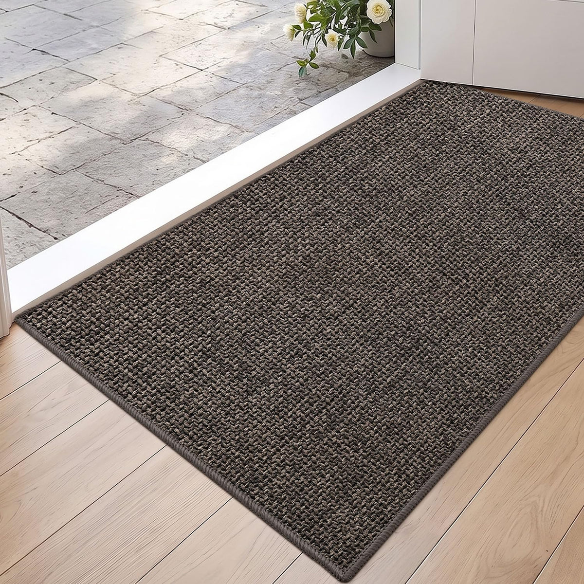 DEXI Thin Door Mat Indoor Entrance 24x36, Non Slip Entryway Mat, Dark Beige