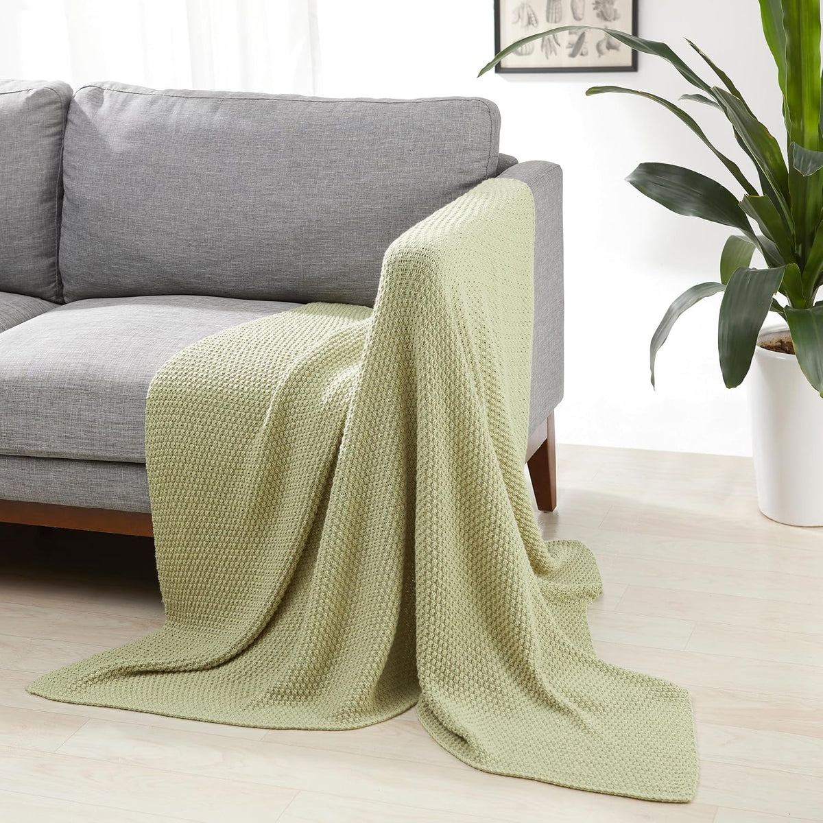 Amazon Basics Chunky Cable Knit Throw Blanket for Couch, Sofa, Bed, Lightweight Soft Cozy, 50" x 60", Sage Green