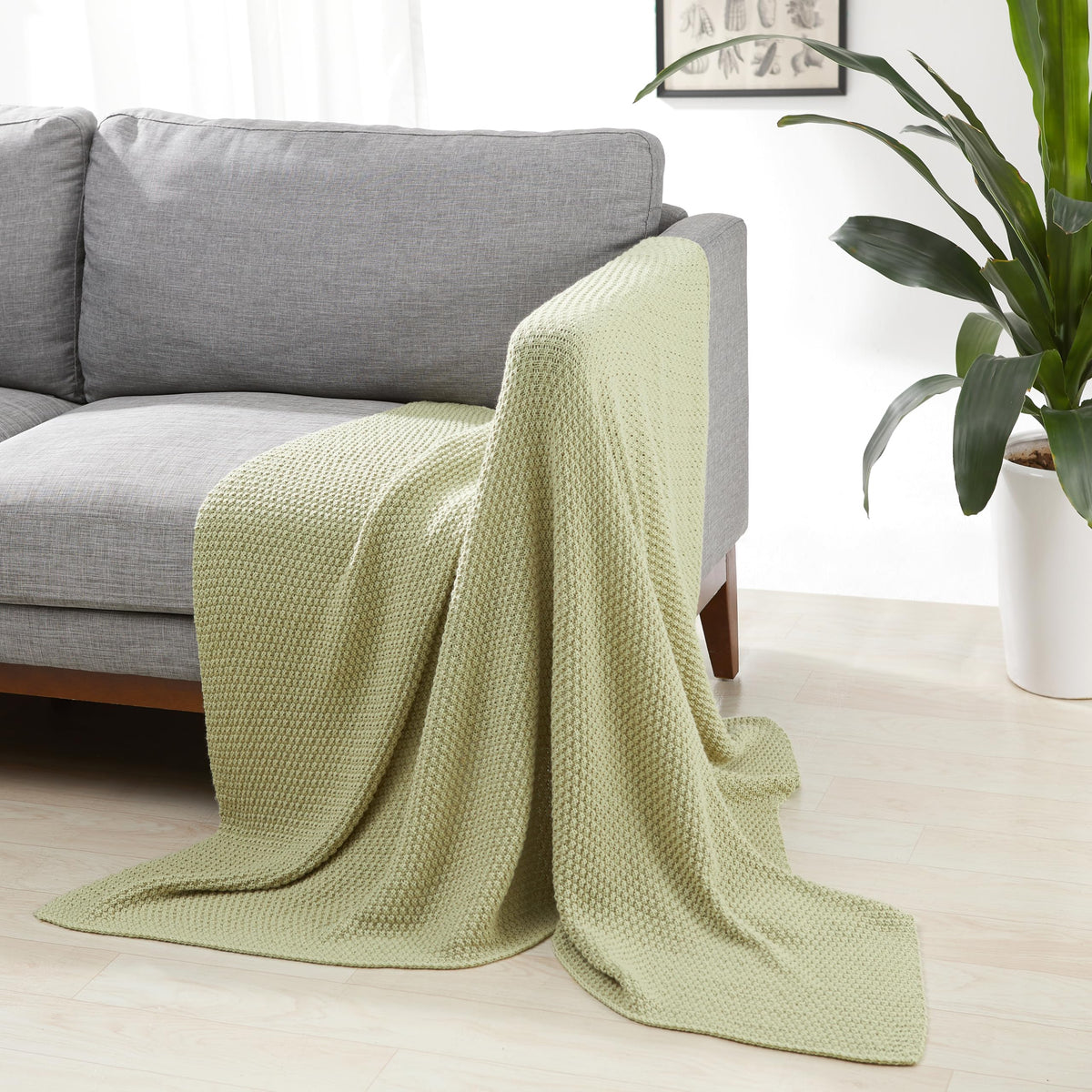 Amazon Basics Chunky Cable Knit Throw Blanket for Couch, Sofa, Bed, Lightweight Soft Cozy, 50" x 60", Sage Green