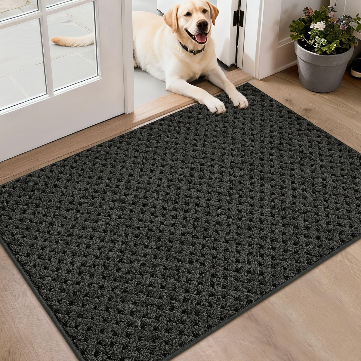 BEQHAUSE Dirt Trapper Door Mat Non-Slip Entryway Rugs, 24" x 36", Beige