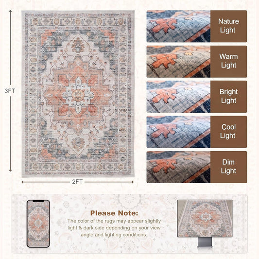 Temedara Washable 2x3 Entry Rug, Small Rugs for Entryway, Boho Rug Low Pile, Vintage Soft Floor Mat Non Slip Indoor Carpet for Living Room Bedroom, Pet Friendly, Easy Care for Kitchen