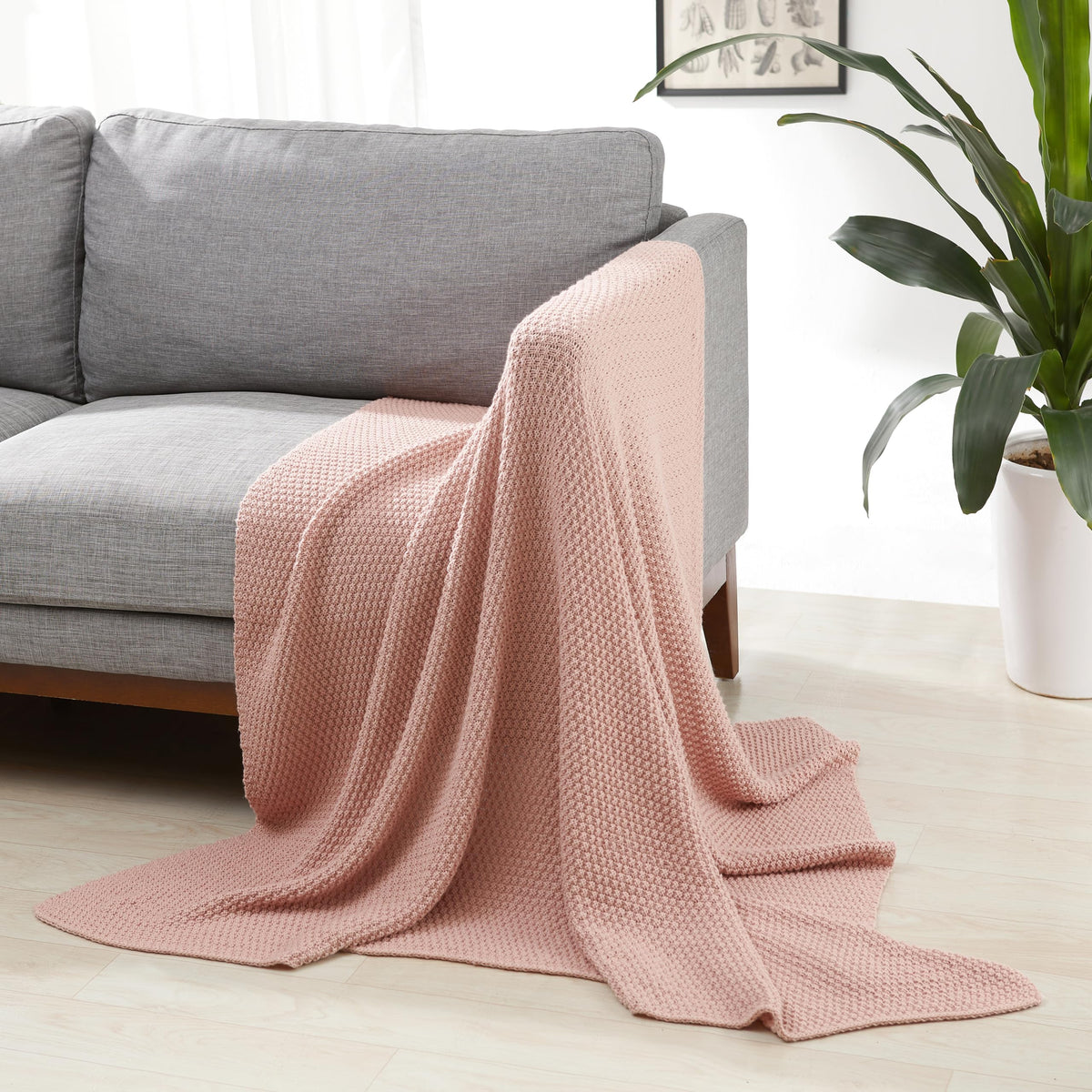 Amazon Basics Chunky Cable Knit Throw Blanket for Couch, Sofa, Bed, Lightweight Soft Cozy, 50" x 60", Sage Green